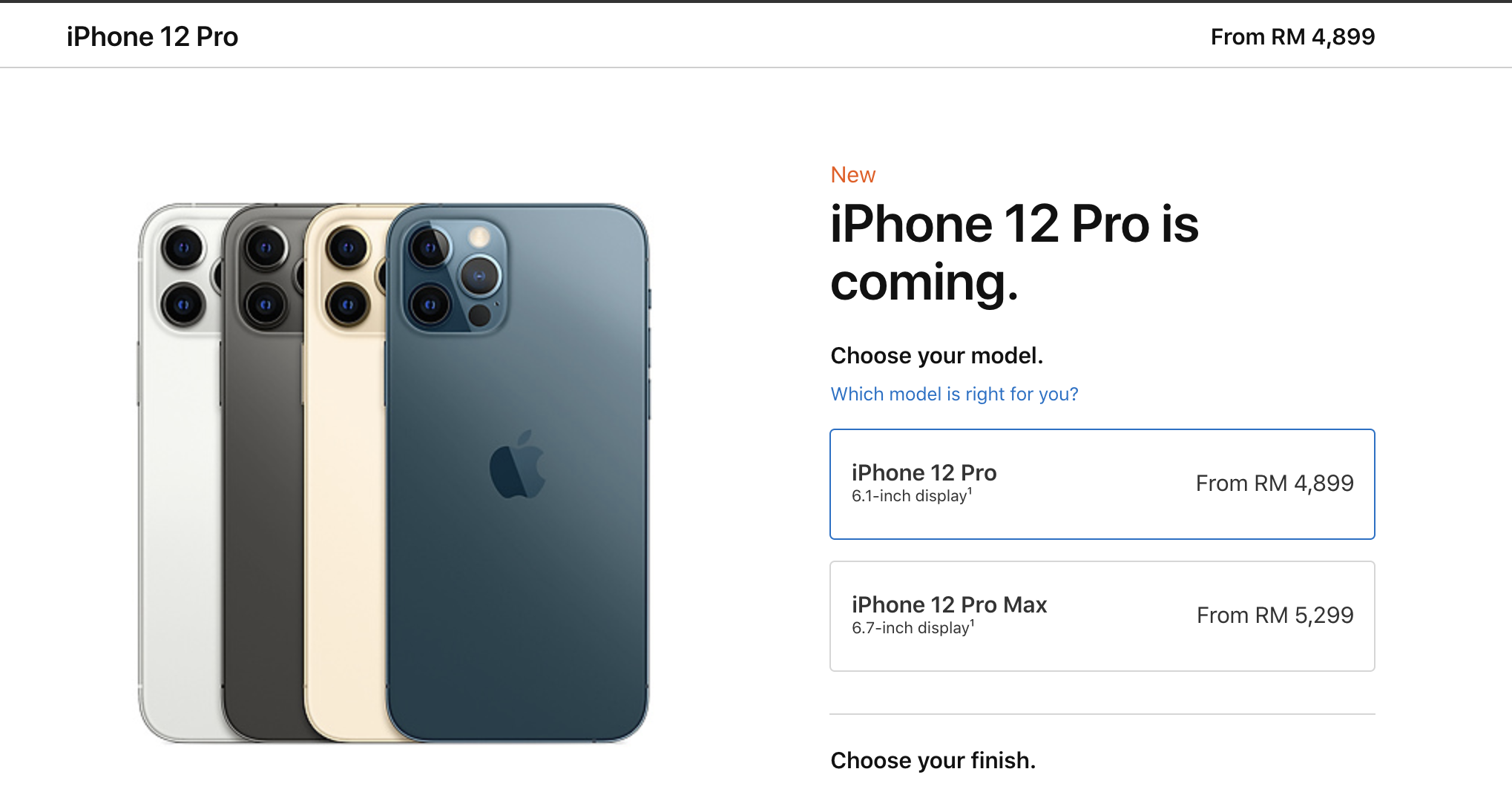 Iphone 12 Pro Купить В Пензе