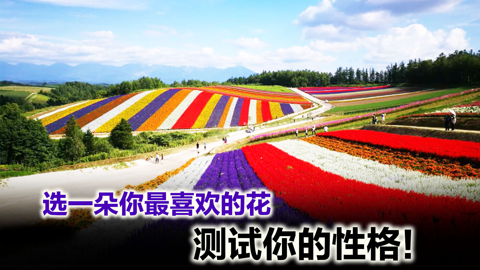 Topic image