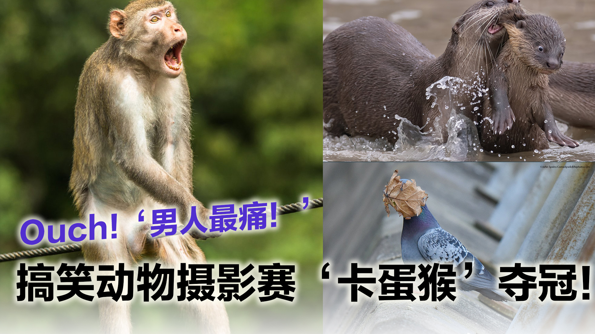 Topic image
