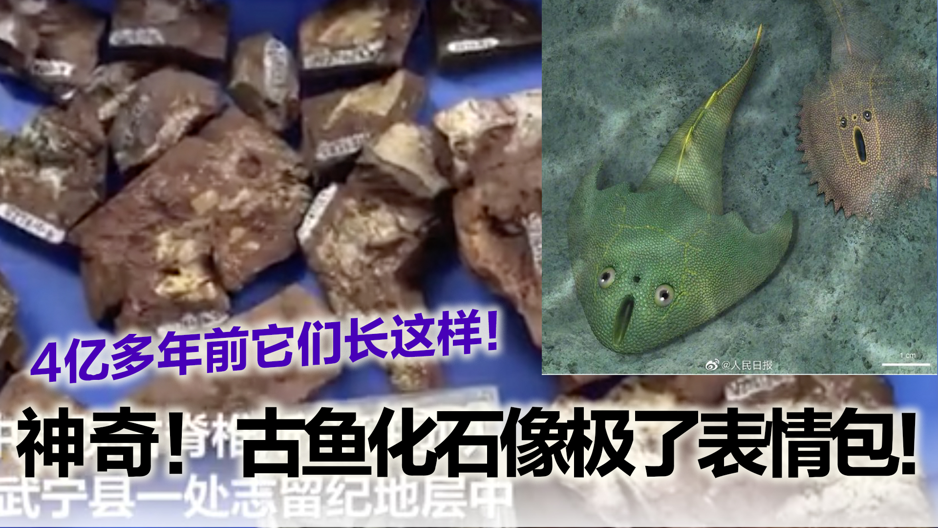 Topic image