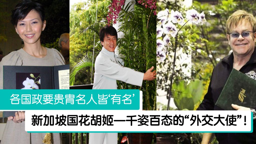 狮城以“胡姬花外交”闻名 我国多名领袖皆获此礼遇！ – 988