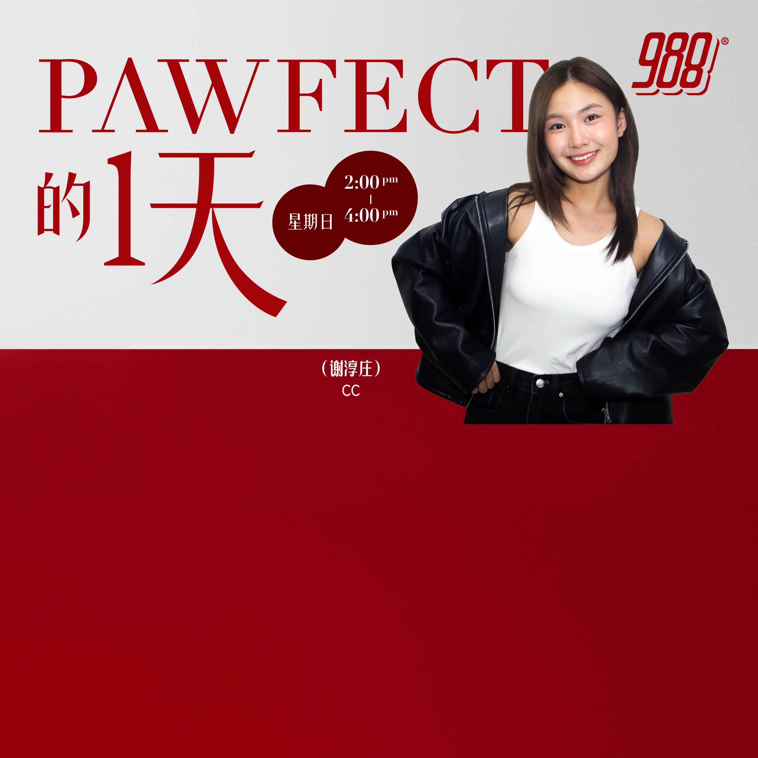 Programme Image