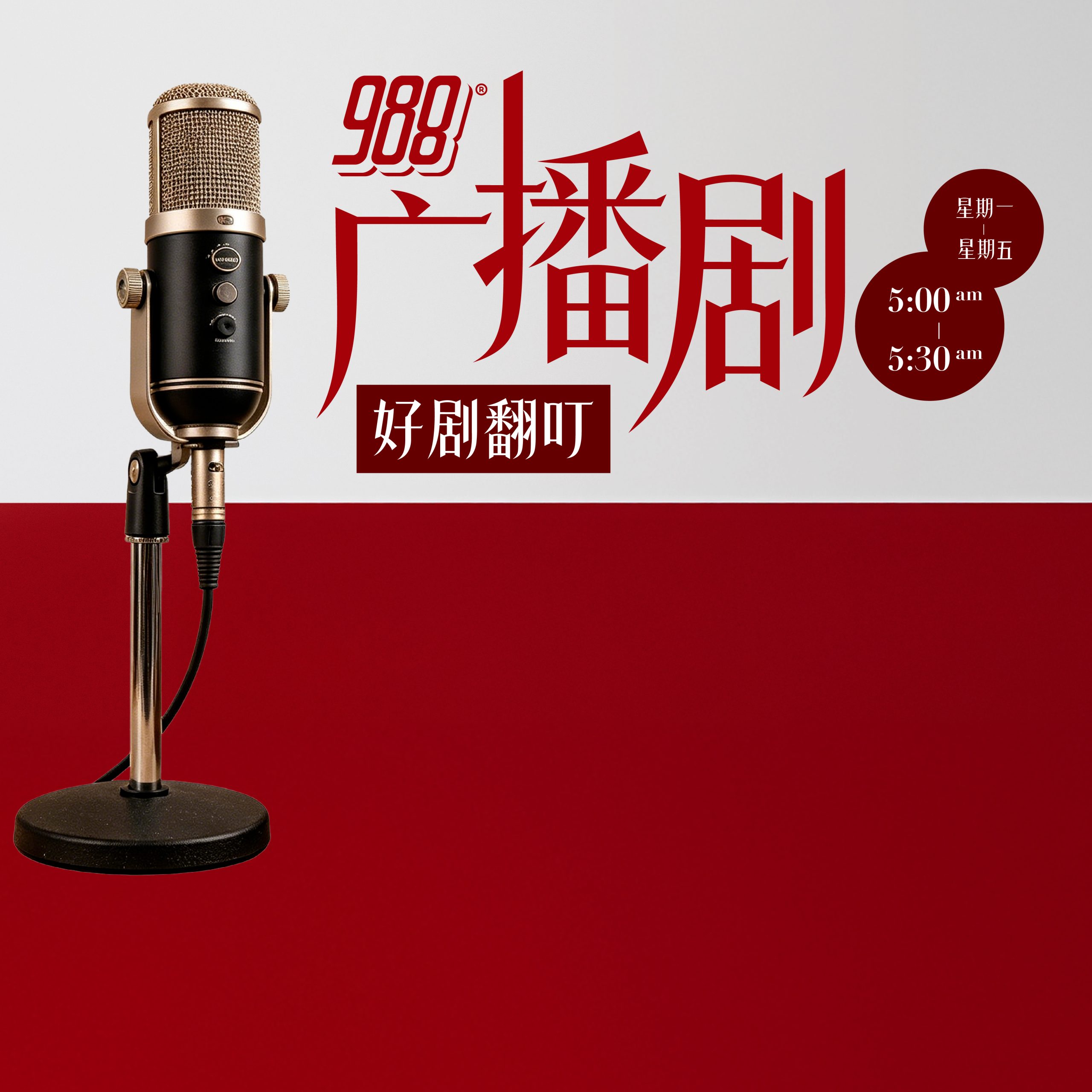 Programme Image
