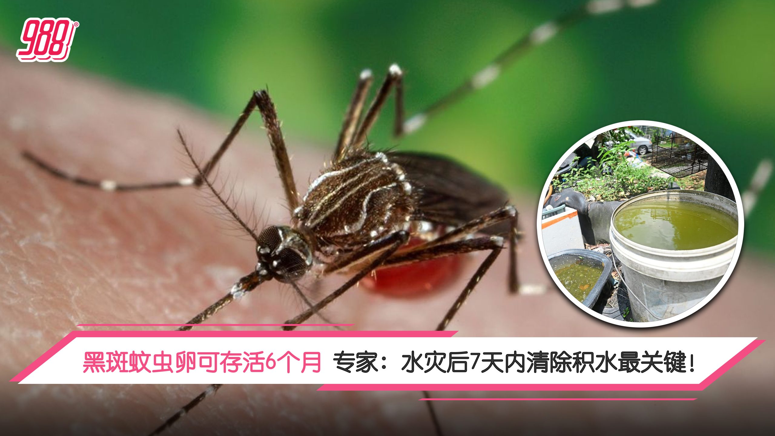 Topic image